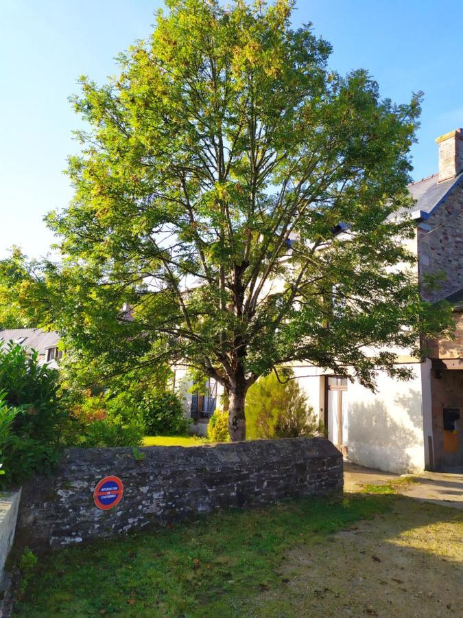 Apartamento Au Fil De L'Eau La Cale 30M² Lannion Exterior foto